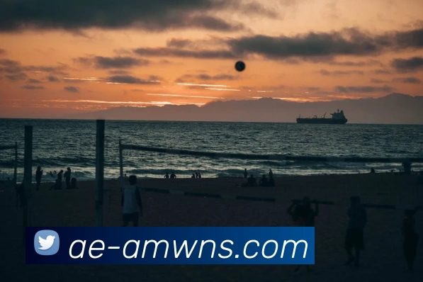 多媒体互动体验