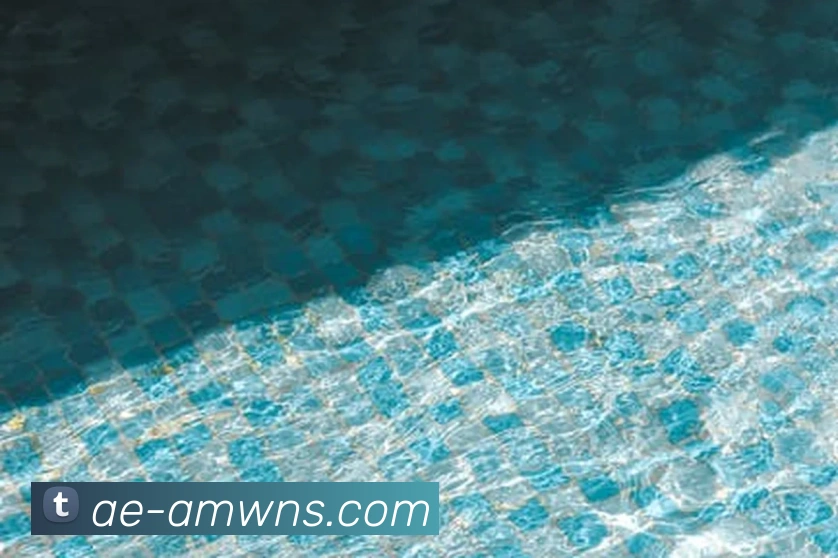 威尼斯人官网APP 高清赛事图